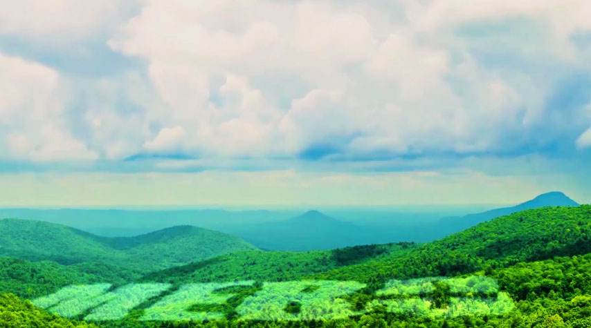 人生就是博官方网站集团形象片（中文版）