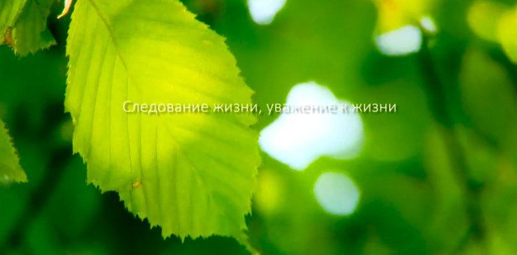 人生就是博官方网站集团形象片（русский）