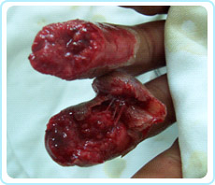 首页-人生就是博中国官方网站