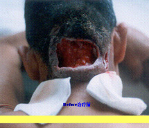 首页-人生就是博中国官方网站