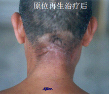 首页-人生就是博中国官方网站