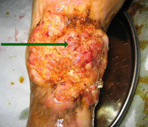 首页-人生就是博中国官方网站
