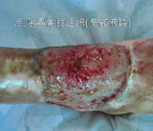 首页-人生就是博中国官方网站