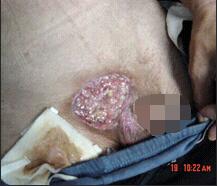 首页-人生就是博中国官方网站