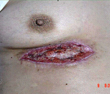 首页-人生就是博中国官方网站