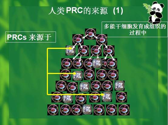 首页-人生就是博中国官方网站