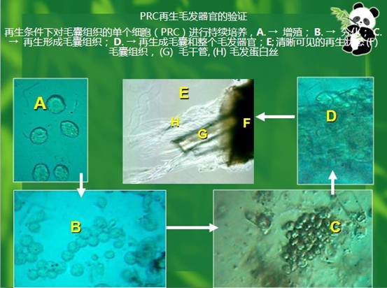 首页-人生就是博中国官方网站