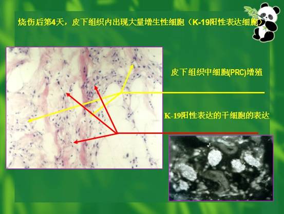首页-人生就是博中国官方网站