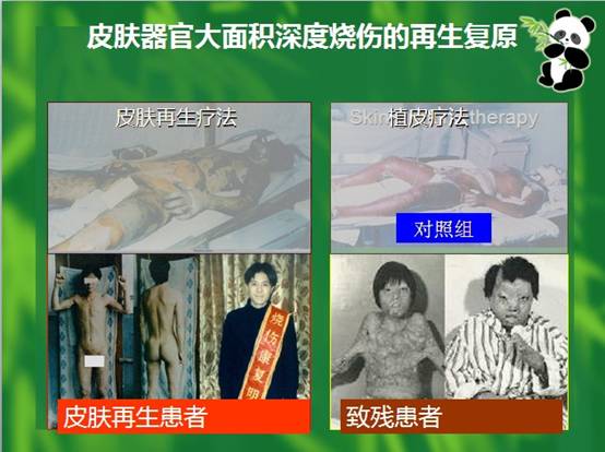 首页-人生就是博中国官方网站