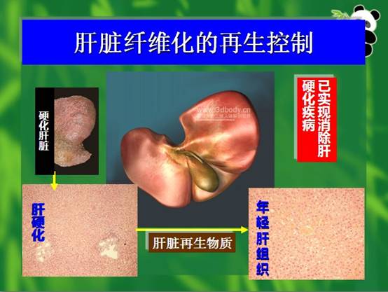 首页-人生就是博中国官方网站