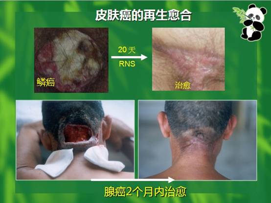 首页-人生就是博中国官方网站