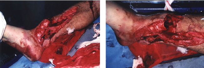 首页-人生就是博中国官方网站