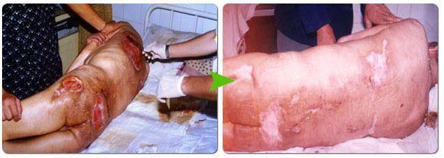 首页-人生就是博中国官方网站