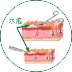 首页-人生就是博中国官方网站