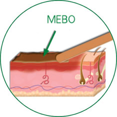 首页-人生就是博中国官方网站