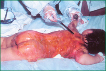 首页-人生就是博中国官方网站