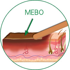 首页-人生就是博中国官方网站