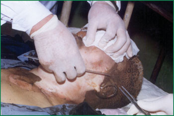 首页-人生就是博中国官方网站