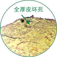 首页-人生就是博中国官方网站