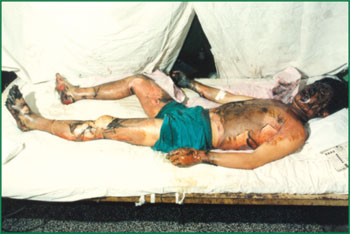 首页-人生就是博中国官方网站