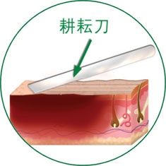 首页-人生就是博中国官方网站