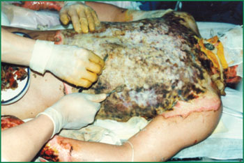 首页-人生就是博中国官方网站