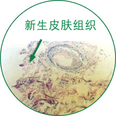 首页-人生就是博中国官方网站