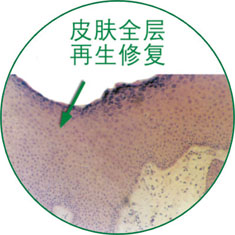 首页-人生就是博中国官方网站