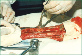 首页-人生就是博中国官方网站