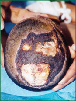 首页-人生就是博中国官方网站