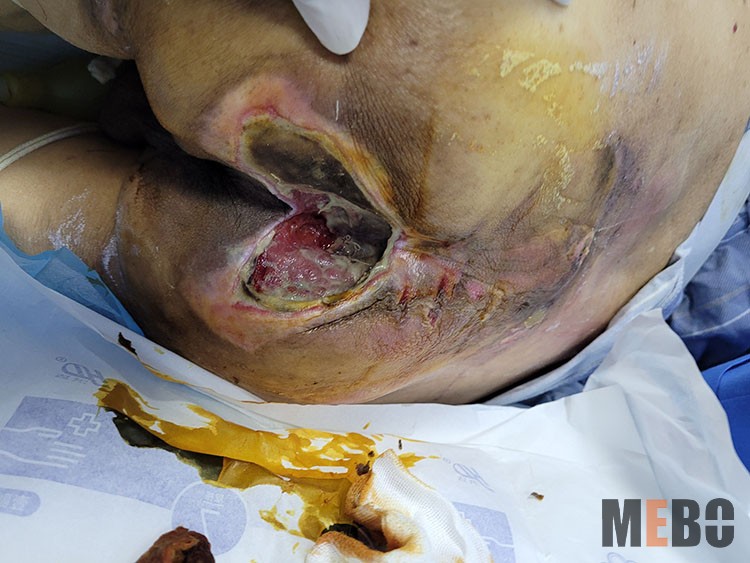 首页-人生就是博中国官方网站