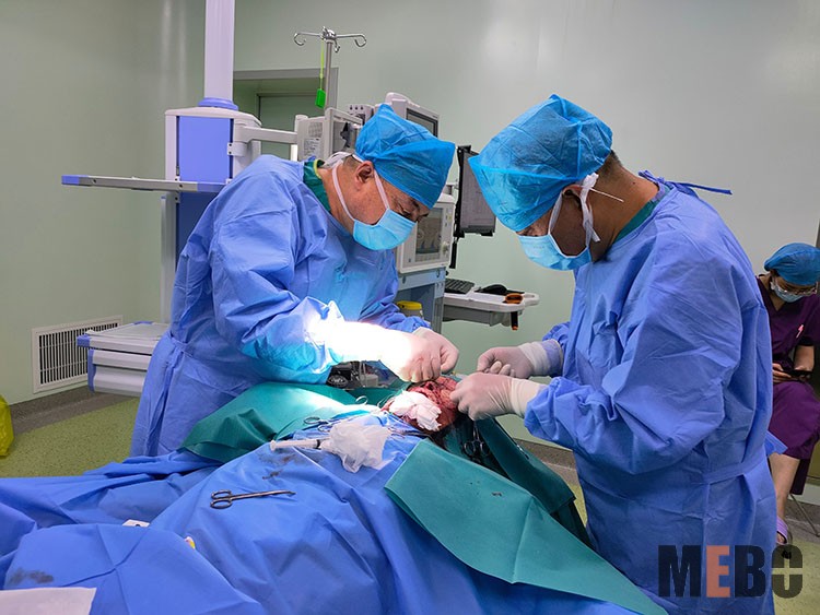 首页-人生就是博中国官方网站