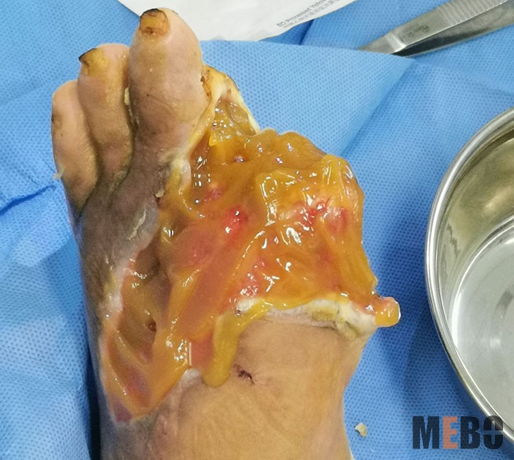 首页-人生就是博中国官方网站