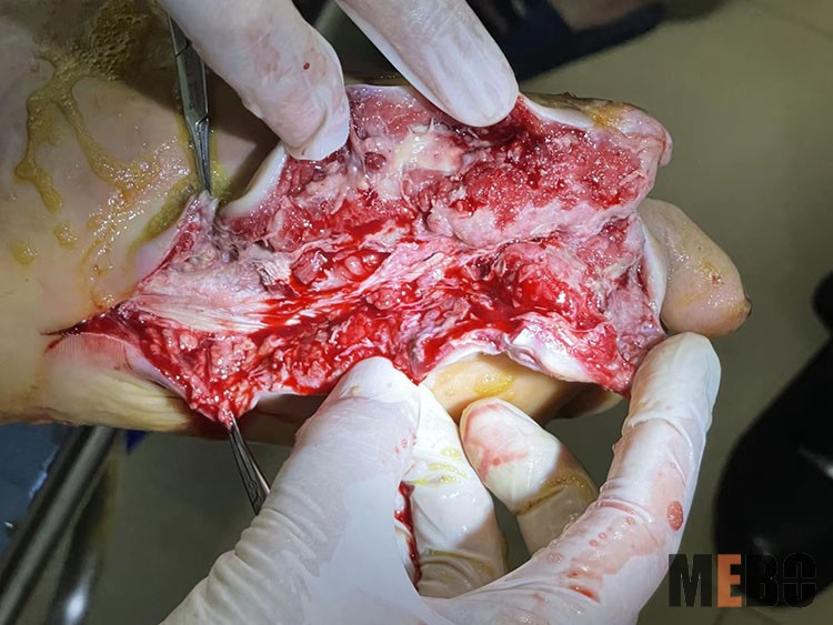 首页-人生就是博中国官方网站