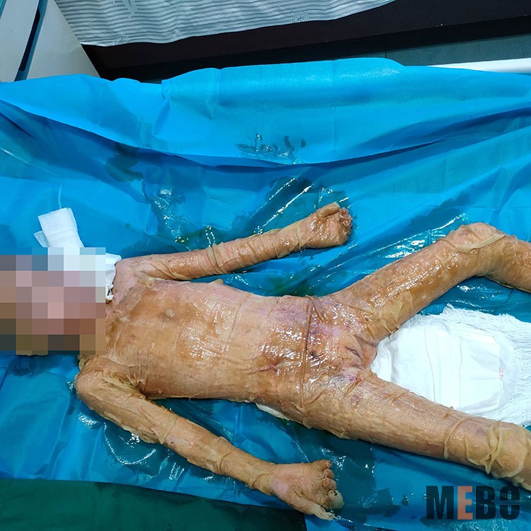 首页-人生就是博中国官方网站