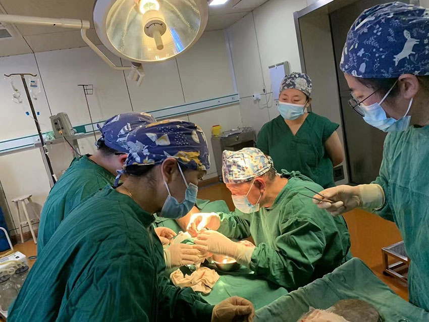 首页-人生就是博中国官方网站