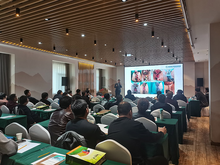 首页-人生就是博中国官方网站