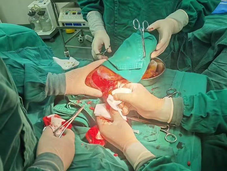 首页-人生就是博中国官方网站