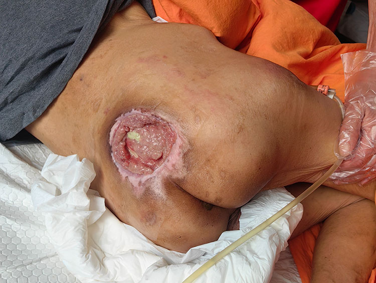 首页-人生就是博中国官方网站