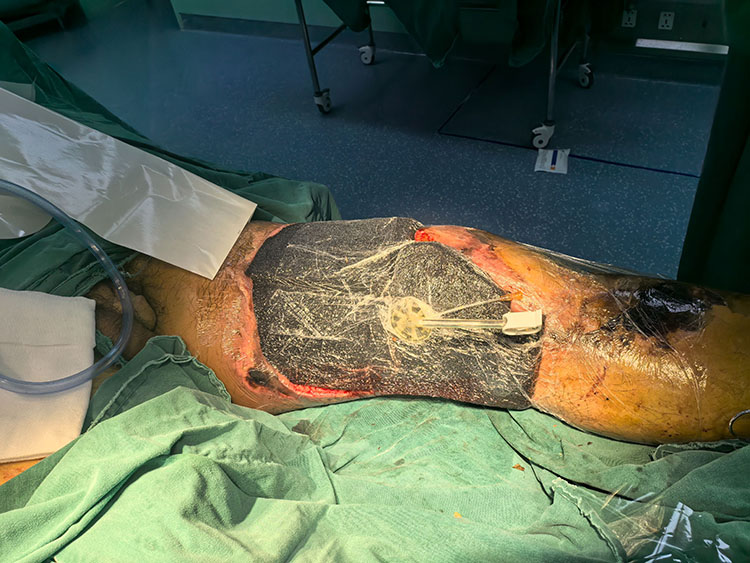 首页-人生就是博中国官方网站