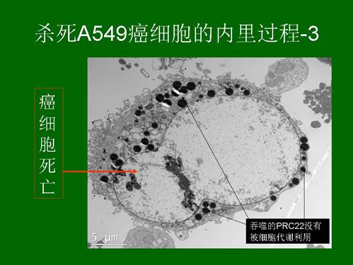 首页-人生就是博中国官方网站