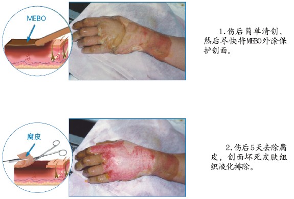 首页-人生就是博中国官方网站