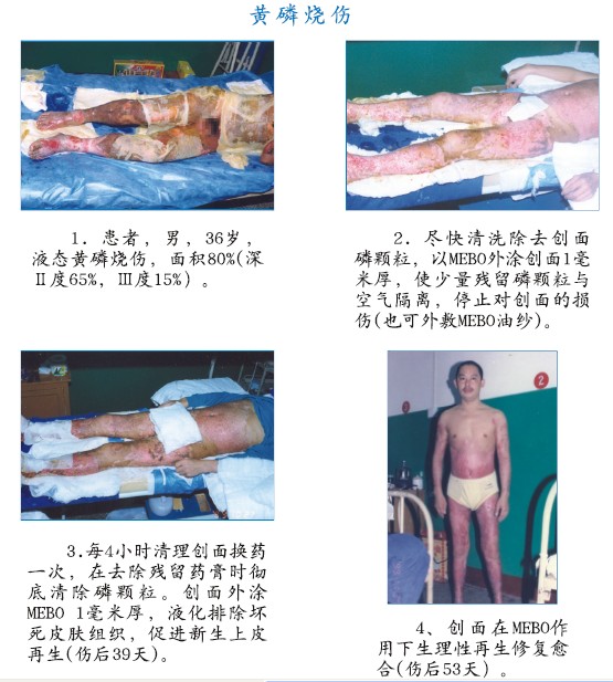 首页-人生就是博中国官方网站