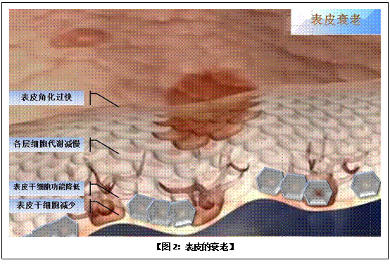 首页-人生就是博中国官方网站