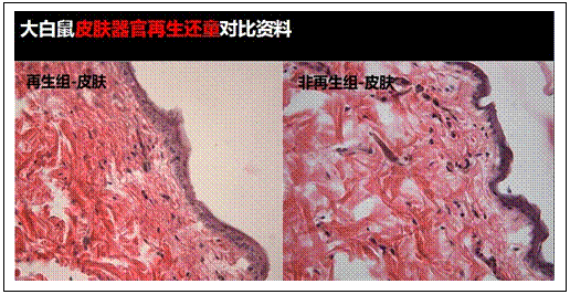 首页-人生就是博中国官方网站