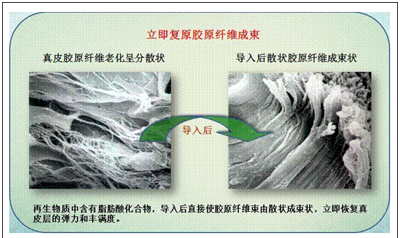 首页-人生就是博中国官方网站