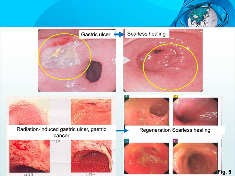 首页-人生就是博中国官方网站