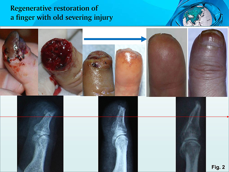 首页-人生就是博中国官方网站