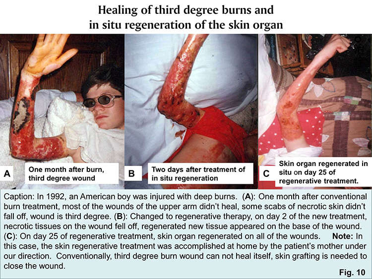 首页-人生就是博中国官方网站