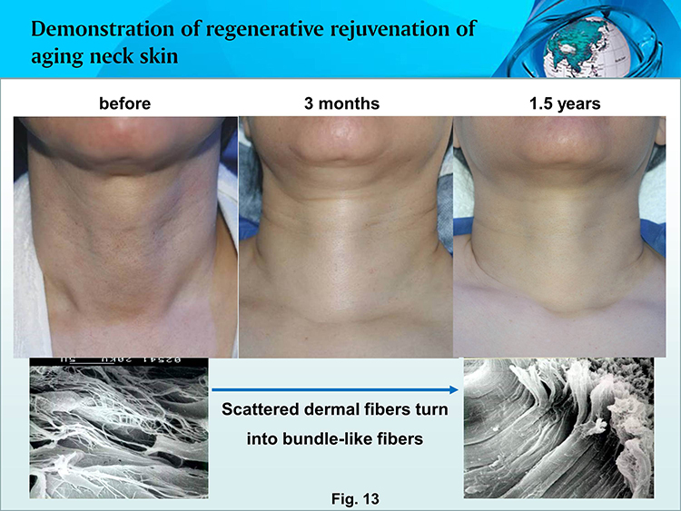 首页-人生就是博中国官方网站